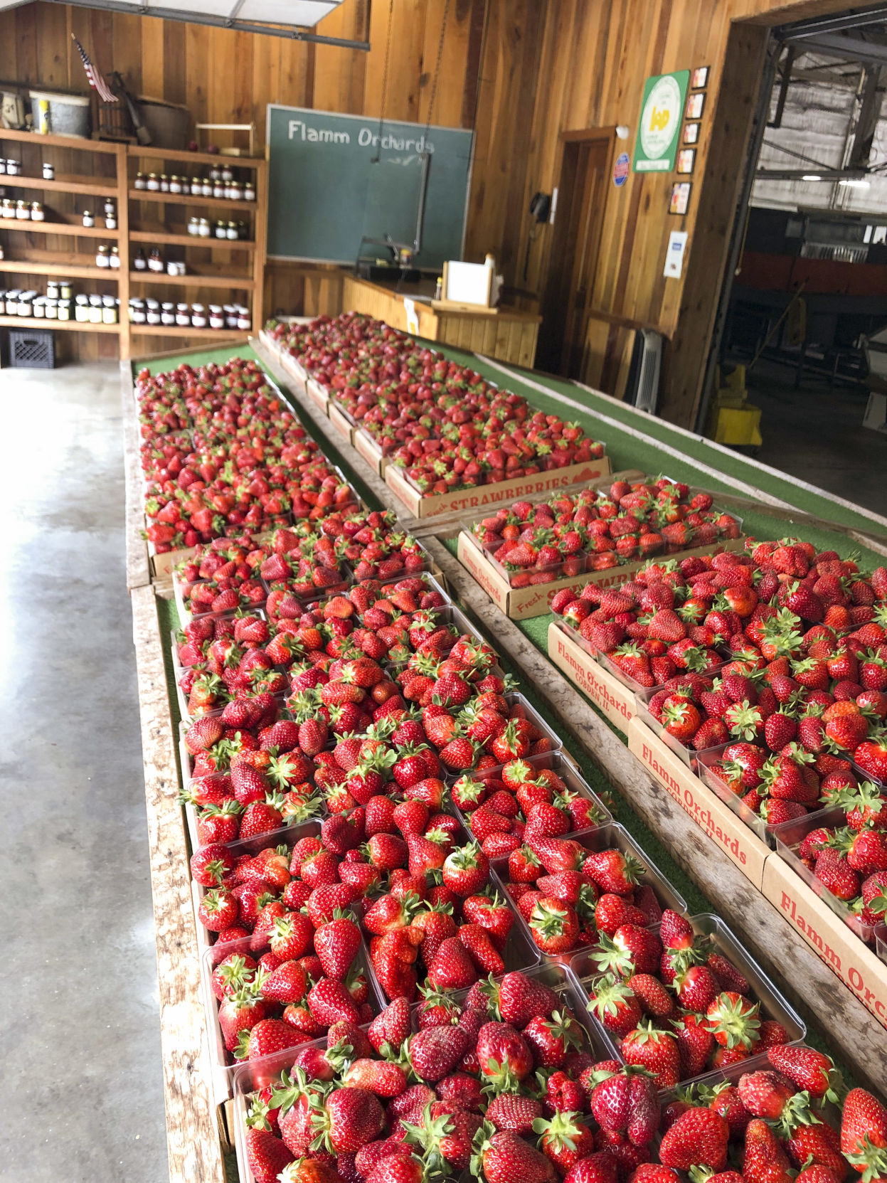 Strawberries selling out daily on southern Illinois farm